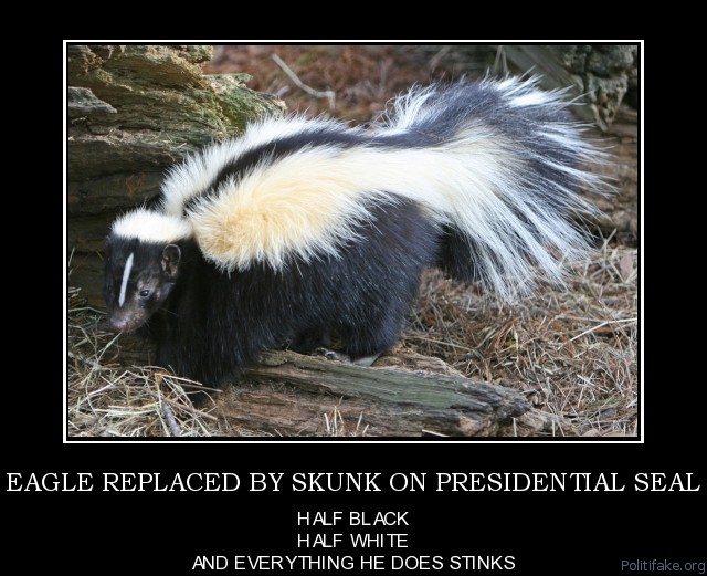 Skunk replaces eagle for Obama presidential seal