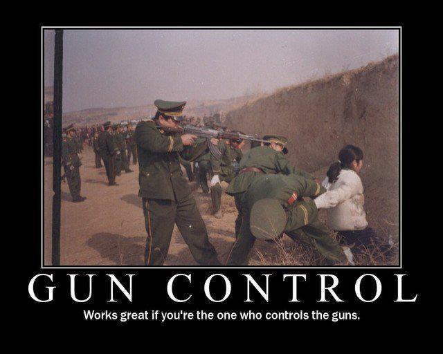 Gun control works great