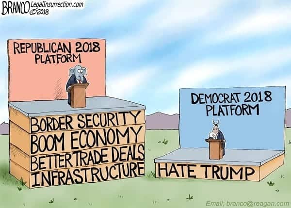 Democratic platform