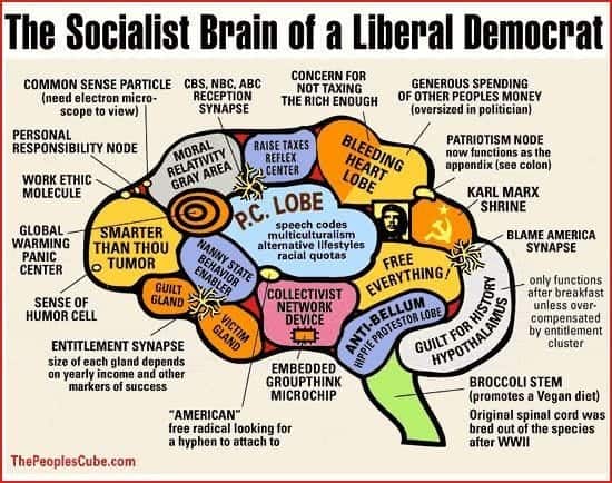 This explains a lot