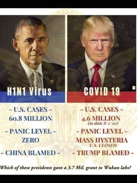 H1N1 vs. COVID-19